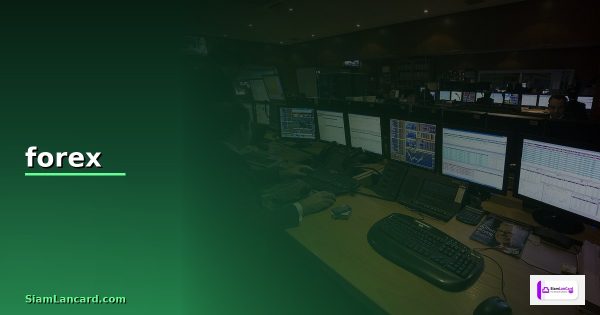 ตั้งแต่การอ่านกราฟถึงการสร้างระบบเทรด เห็นผลไว