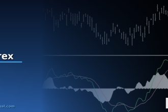 forex cover 48