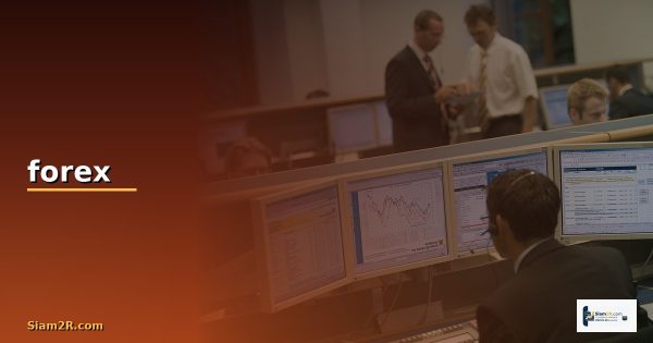 ตอบโจทย์ทุกสไตล์การเทรดระดับโลก โบรกเกอร์ forex พิสูจน์คุณภาพด้วยตัวเลขผลงาน