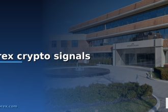forex crypto signals cover 1