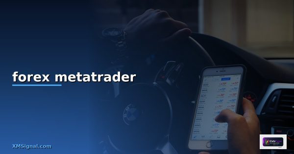forex ด้วยโปรแกรม metatrader