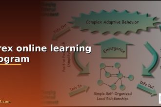 forex online learning program cover 1