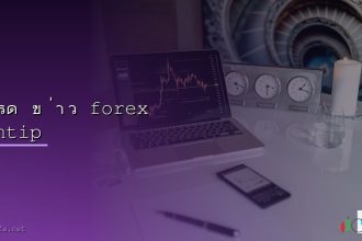 forex pantip cover 2