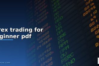forex trading for beginner pdf cover 4