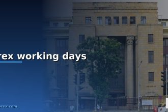 forex working days cover