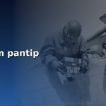 forex xm pantip cover