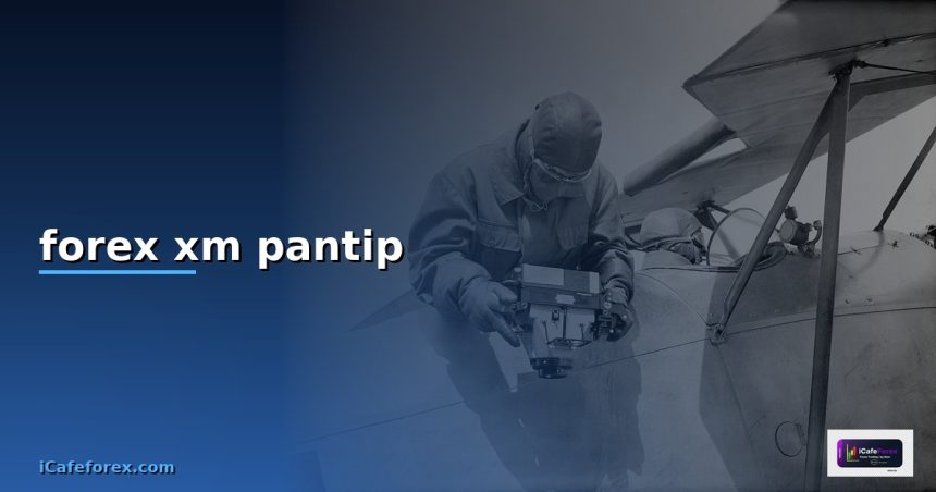 forex xm pantip cover