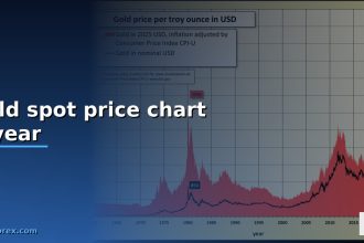 gold spot price chart 1 year cover 1