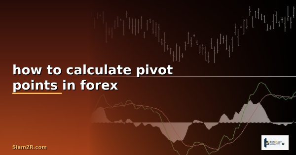 how to calculate pivot points in forex