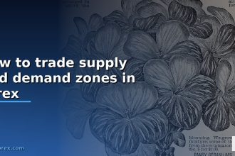 how to trade supply and demand zones in forex cover 1