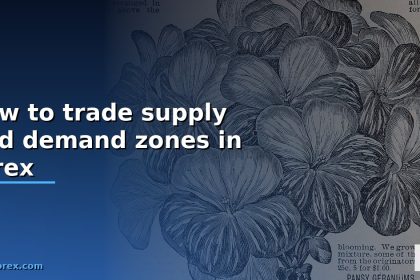 how to trade supply and demand zones in forex cover 1