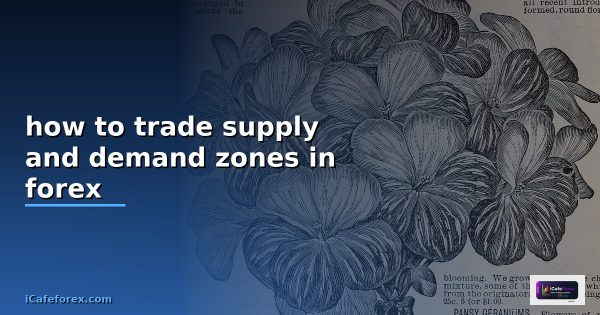 supply and demand zones forex