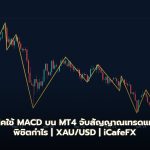 เทคนิคใช้ MACD บน MT4 จับสัญญาณเทรดแม่นยำ พิชิตกำไร