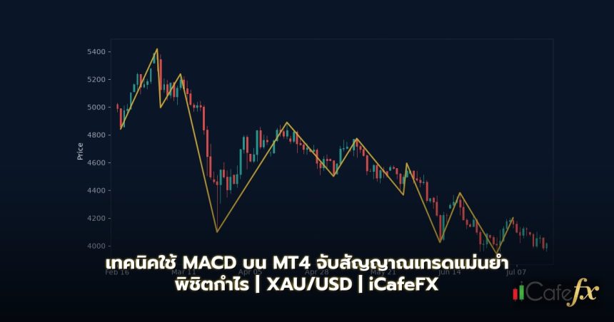เทคนิคใช้ MACD บน MT4 จับสัญญาณเทรดแม่นยำ พิชิตกำไร
