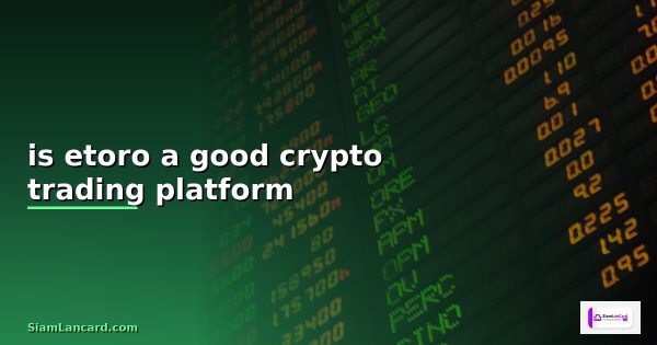 crypto futures trading platform reddit