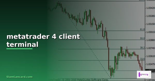 metatrader 4 terminal