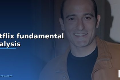 netflix fundamental analysis cover 1