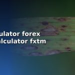 pip calculator forex value calculator fxtm cover 1
