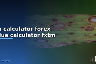 pip calculator forex value calculator fxtm cover 1