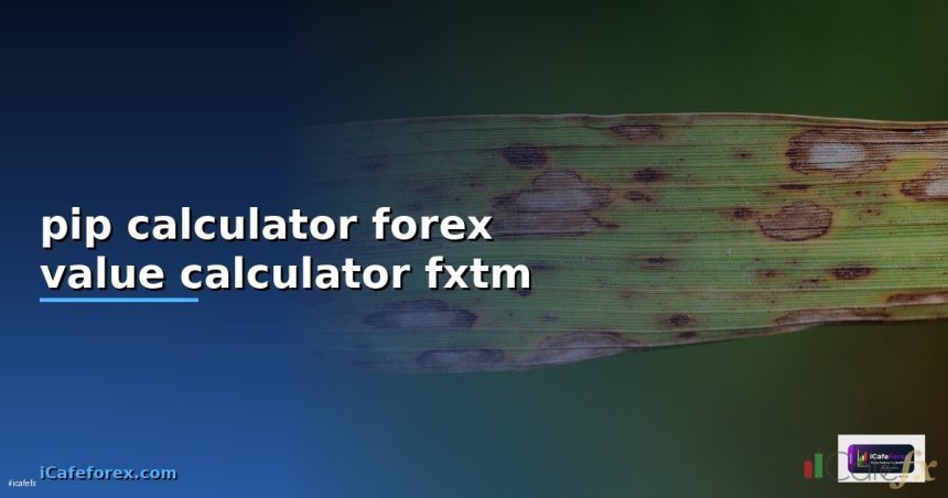 pip calculator forex value calculator fxtm cover 1