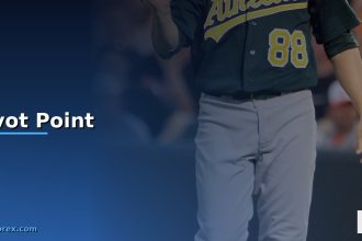 pivot point cover 1