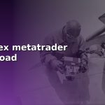 roboforex metatrader 4 download cover 1