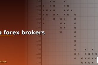 stp forex brokers cover 1