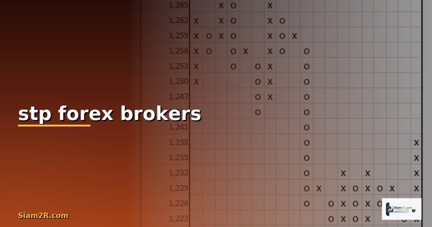 stp forex brokers cover 1