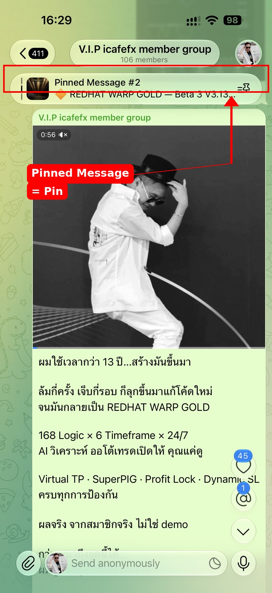 ภาพตัวอย่าง: ลูกศรชี้ตำแหน่งปักหมุด (Pinned Message) ในกลุ่ม VIP Telegram