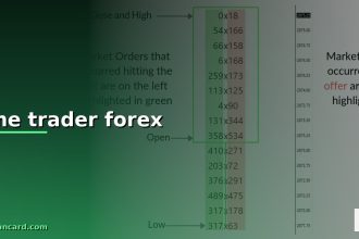 time trader forex cover 1