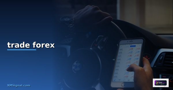 หารายได้จากการ trade forex