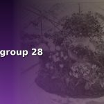 trading group 28 cover 1