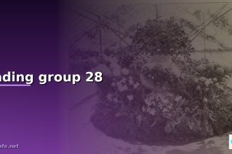 trading group 28 cover 1