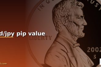 usd jpy pip value cover 1