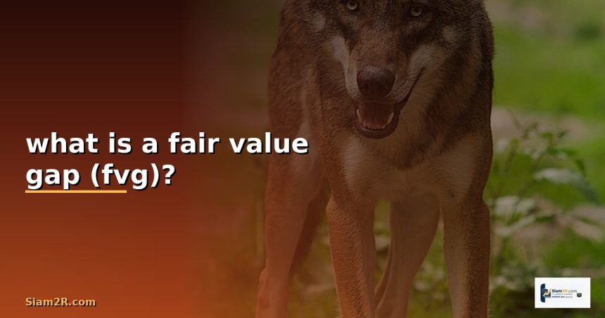 what is a fair value gap fvg cover 2