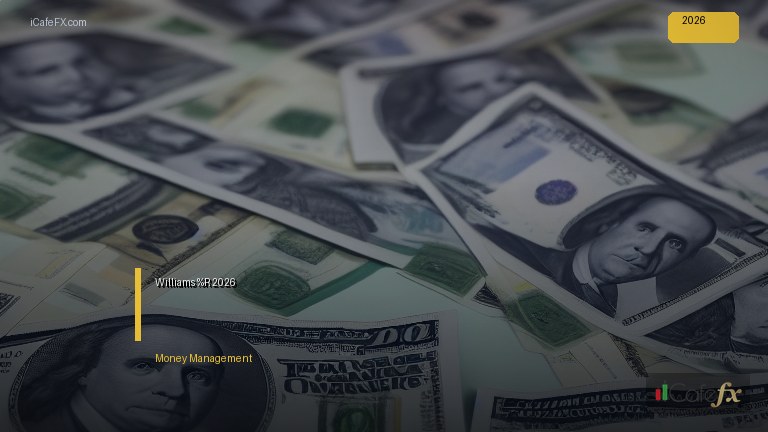financial analysis