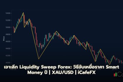 เจาะลึก Liquidity Sweep Forex: วิธีจับเหยื่อราคา Smart Money ปี