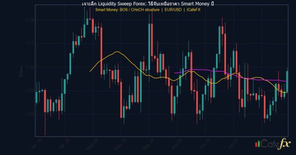 เจาะลึก Liquidity Sweep Forex: วิธีจับเหยื่อราคา Smart Money ปี