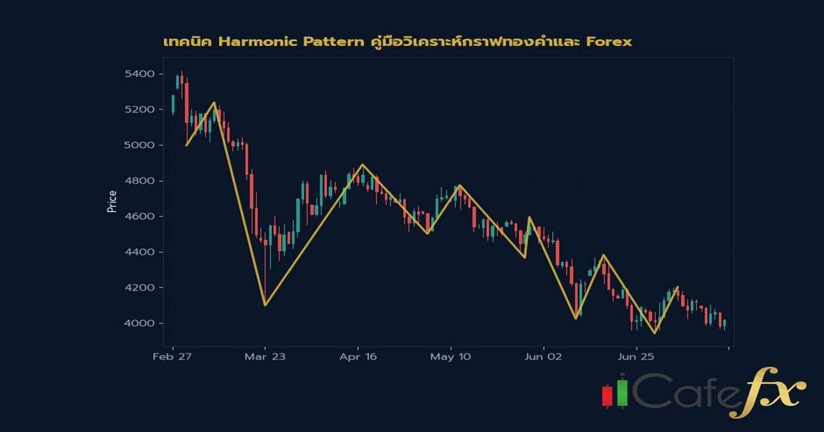 เทคนิค Harmonic Pattern คู่มือวิเคราะห์กราฟ ภาพประกอบที่ 1