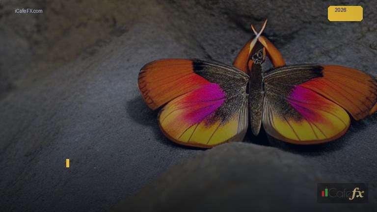 เจาะลึกทองคำ Harmonic Butterfly วิธีเทรดแพทเทิร์นผีเสื้อทำกำไร XA H20
