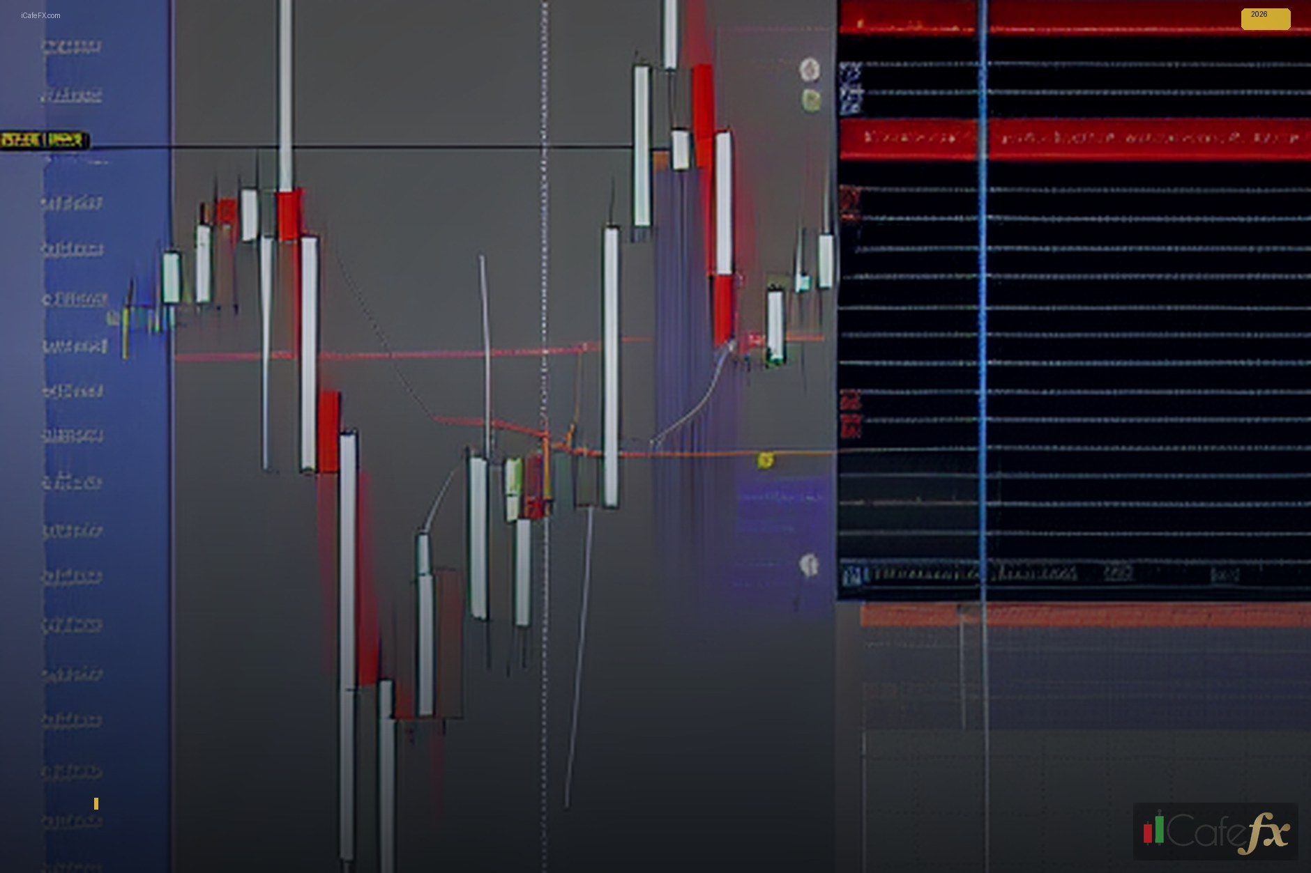 ทำความรู้จัก HotForex (HFM) และภาพรวมโบนัส 100%