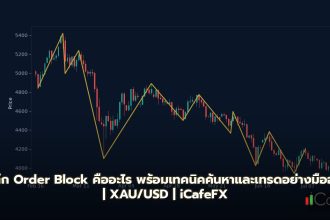 เจาะลึก Order Block คืออะไร พร้อมเทคนิคค้นหาและเทรดอย่างมืออาชีพ Order Block คืออะไร ทำไมนักเทรดถึงต้องรู้จัก