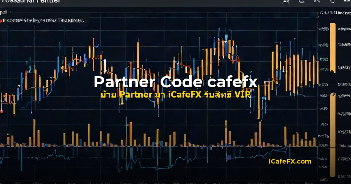 partner code transfer hero