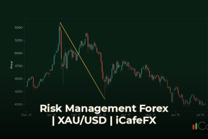 เจาะลึก Risk Management คืออะไร พร้อมหลักบริหารความเสี่ยง Forex 2 การบริหารความเสี่ยงในตลาด Forex คืออะไร