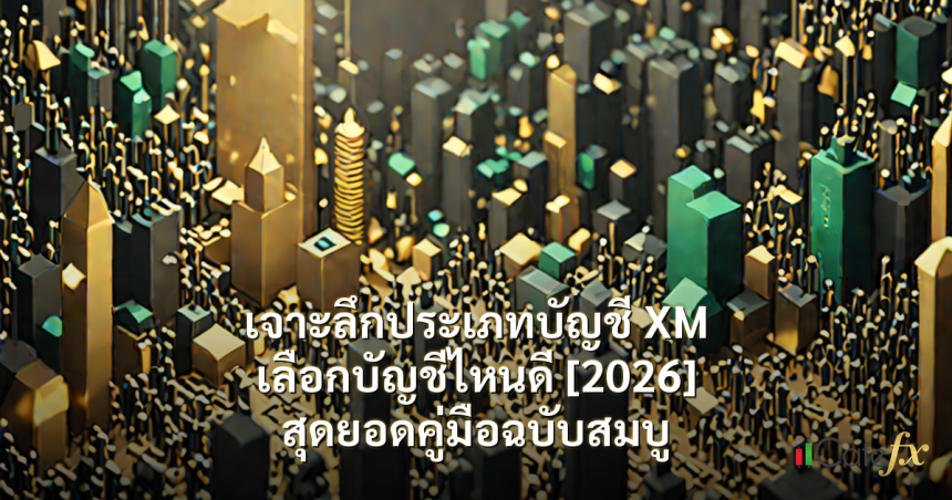 เจาะลึกประเภทบัญชี XM เลือกบัญชีไหนดี [2026] สุดยอดคู่มือฉบับสมบู