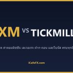 XM vs Tickmill ปี 2569: เทียบสเปรด ค่าคอม และบัญชี Swap-Free ตารางเปรียบเทียบ XM vs Tickmill ปี 2569 (ข้อมูลจากเว็บทางการ)