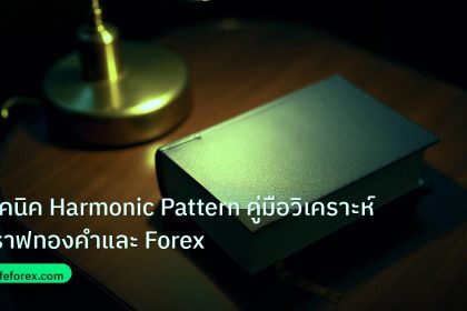 scb_manual | เทคนิค Harmonic Pattern คู่มือวิเคราะห์กราฟทองคำและ Forex