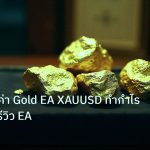 gold_daily | เทคนิคตั้งค่า Gold EA XAUUSD ทำกำไรอัตโนมัติ: รีวิว EA