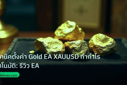 gold_daily | เทคนิคตั้งค่า Gold EA XAUUSD ทำกำไรอัตโนมัติ: รีวิว EA