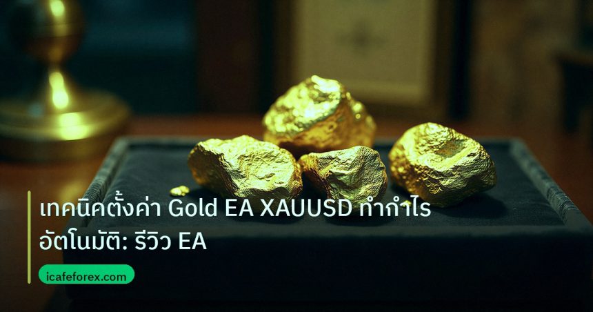 gold_daily | เทคนิคตั้งค่า Gold EA XAUUSD ทำกำไรอัตโนมัติ: รีวิว EA